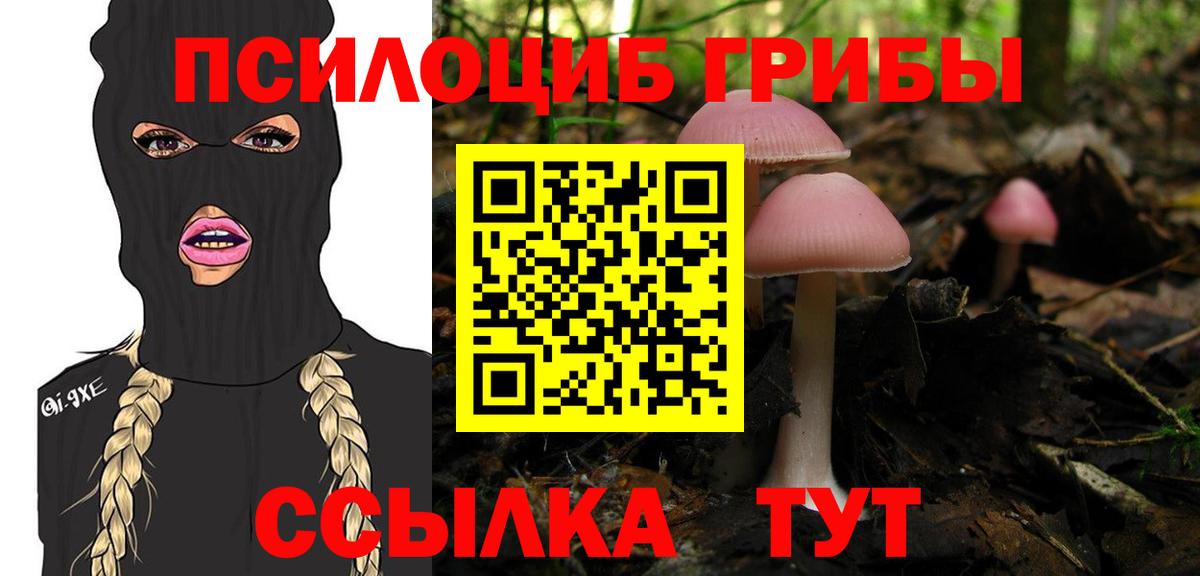 Коломна  Галлюциногенные грибы Psilocybe  Вход с VPN  Галлюциногенные грибы ЛСД 