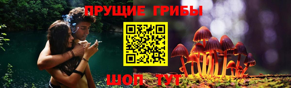 Псилоцибиновые грибы прущие грибы Коломна